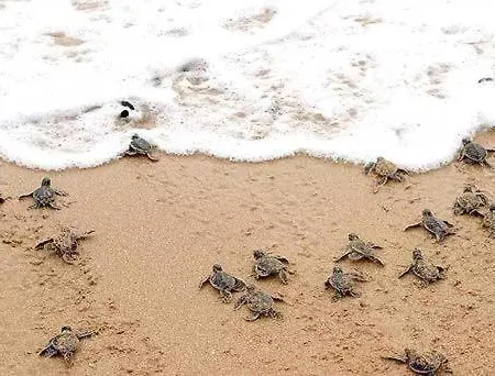 La Casetta In Canada' - Singola Ed Indipendente, Comoda A Pochi Passi Dal Mare Situata Nel Centro Storico * Condofuri Marina